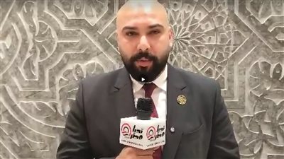  النائب إبراهيم الديب    