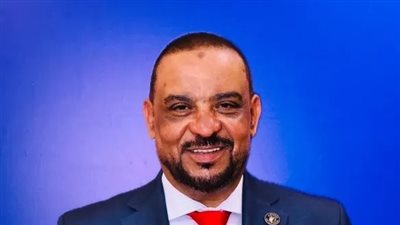 النائب أحمد حافظ    