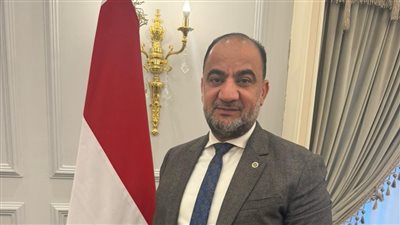 النائب حاتم عبد العزيز، عضو مجلس النواب    