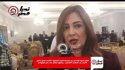 النائبة أميرة العادلى     