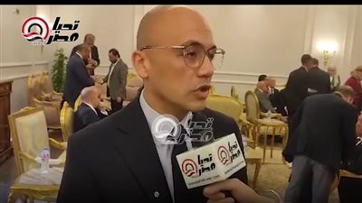 النائب احمد حسام عوض    