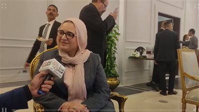 النائبة ريهام عبدالنبي    