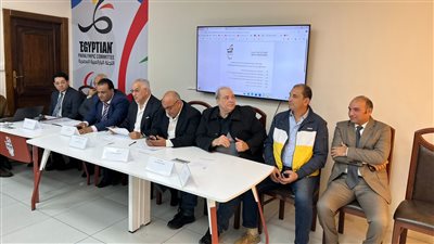 اللجنة البارالمبية المصرية     