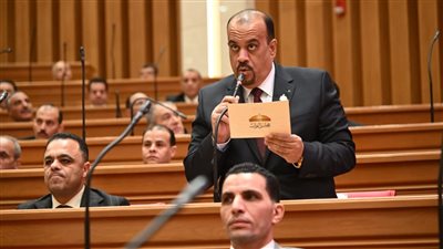 النائب إيهاب إمام    