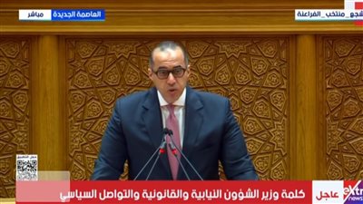 المستشار محمود فوزي    