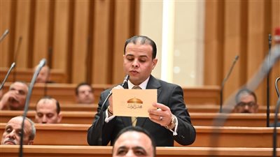 النائب مدحت الكمار    