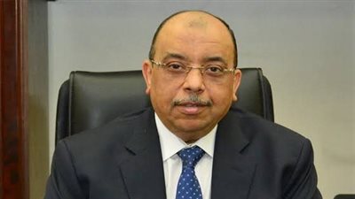 الوزير محمود شعراوي     