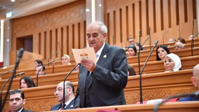 النائب محمد عيد محجوب    