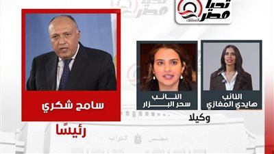 لجنة العلاقات الخارجية     