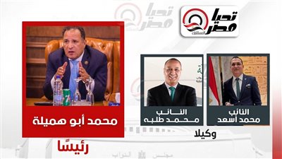 هيئة مكتب لجنة الشئون العربية    