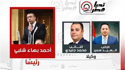 هيئة مكتب لجنة الصناعة بمجلس النواب    