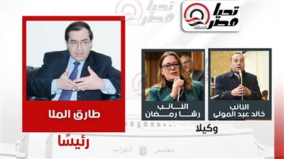 هيئة مكتب لجنة الطاقة والبيئة     