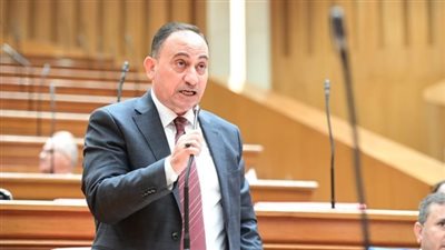  النائب محمد عبد الله زين الدين    