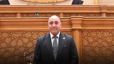 النائب حسام الخشت    