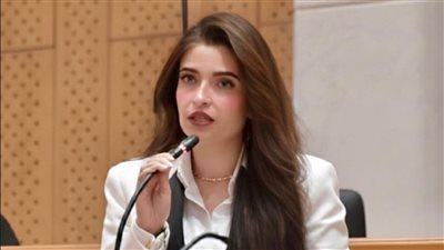 النائبة إيرين سعيد عضو لجنة الصحة بمجلس النواب    