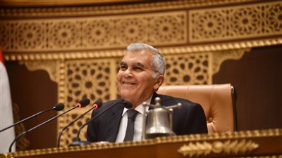 المستشار عصام فريد     