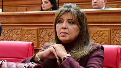 النائبة داليا السعدني، عضو مجلس النواب    