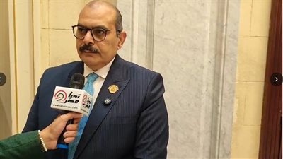  النائب محمود صلاح عضو مجلس الشيوخ     