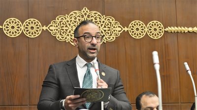 النائب أحمد الحمامصي    