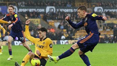 وولفرهامبتون ضد نيوكاسل يونايتد.. التعادل السلبي يحسم مواجهة    