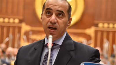 المستشار محمود فوزي    