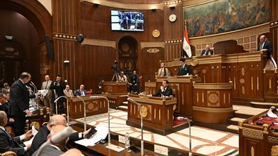 مجلس الشيوخ    