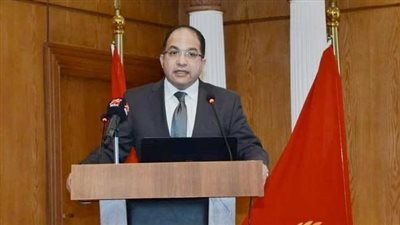 النائب عادل اللمعي، عضو مجلس النواب    