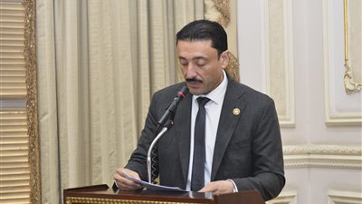 النائب محمد رزق    