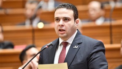 النائب عبد المنعم إمام    