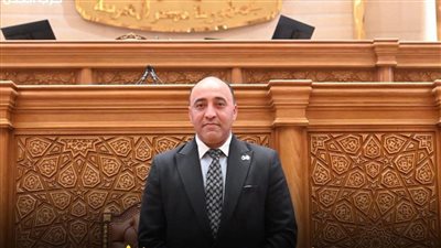 النائب حسام حسن الخُشت    