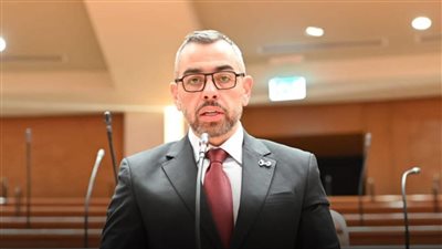 النائب محمد فؤاد    