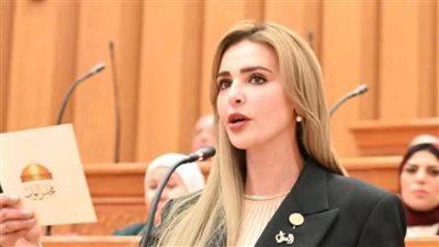 النائبة مروة حسين بوريص    