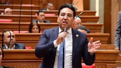  الدكتور أيمن محسب    