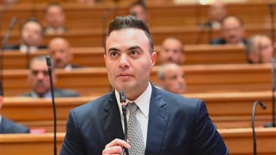 النائب أحمد إبراهيم البنا    