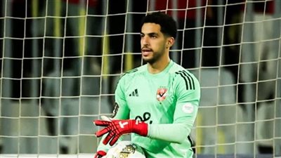 مصطفي شوبير    