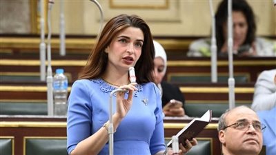 النائبة إيرين سعيد     