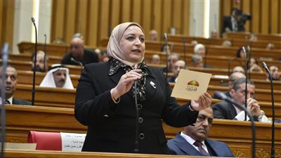  النائبة سحر عتمان، عضو مجلس النواب    