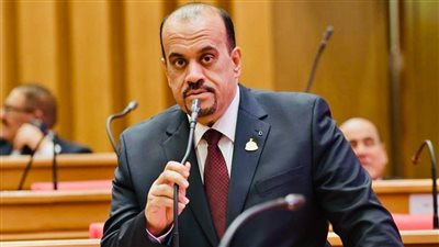 النائب إيهاب إمام عضو لجنة السياحة بمجلس النواب     