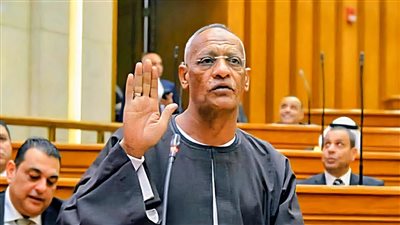 النائب مدحت ركابي    