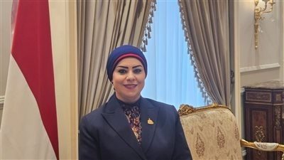  النائبة جيهان شاهين، عضو مجلس النواب    