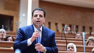  النائب محمود سامي الإمام عضو مجلس النواب    