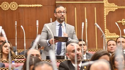 النائب أحمد الحمامصي، عضو لجنة الإسكان والقيم بمجلس الشيوخ    