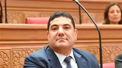 النائب الدكتور أحمد عبد المجيد امين سر لجنة التعليم    