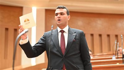 النائب حسين هريدي، عضو مجلس النواب    