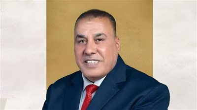 النائب محمد عبدالعال أبو النصر    