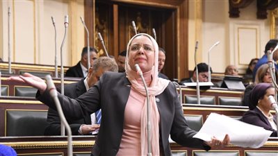 النائبة ريهام عبد النبي    