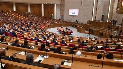 مجلس النواب    