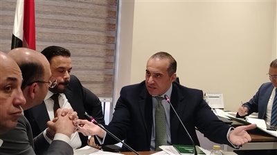 المستشار محمود فوزي، وزير الشؤون النيابية    