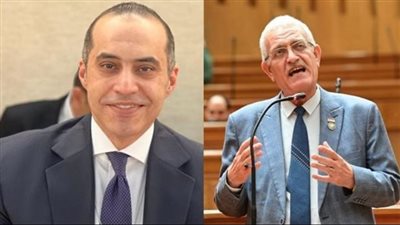 مجلس النواب    