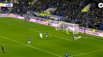 إيفرتون ضد ليدز.. ليدز يونايتد يتقدم على إيفرتون بهدف نظيف ف    